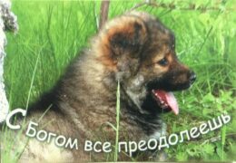 QSL AWR Voice of Hope Голос Надежды Гуам Ноябрь 2016 года